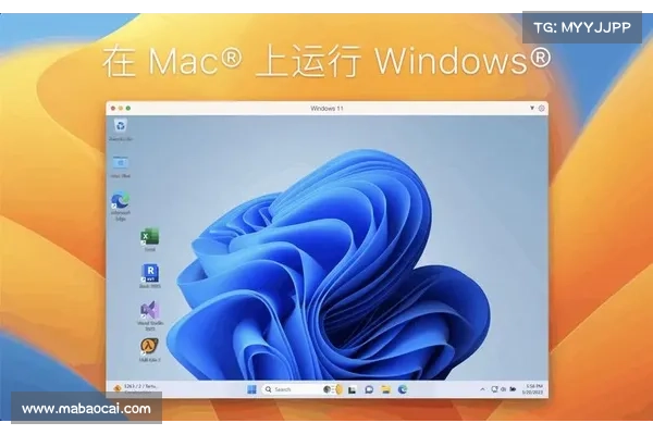 Linux 和 macOS 系统可能受到 ncurses 库的漏洞影响 媒体